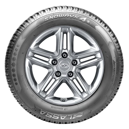 WR Alu 16, LA Snoways 4 205/60 R16 92H, RE