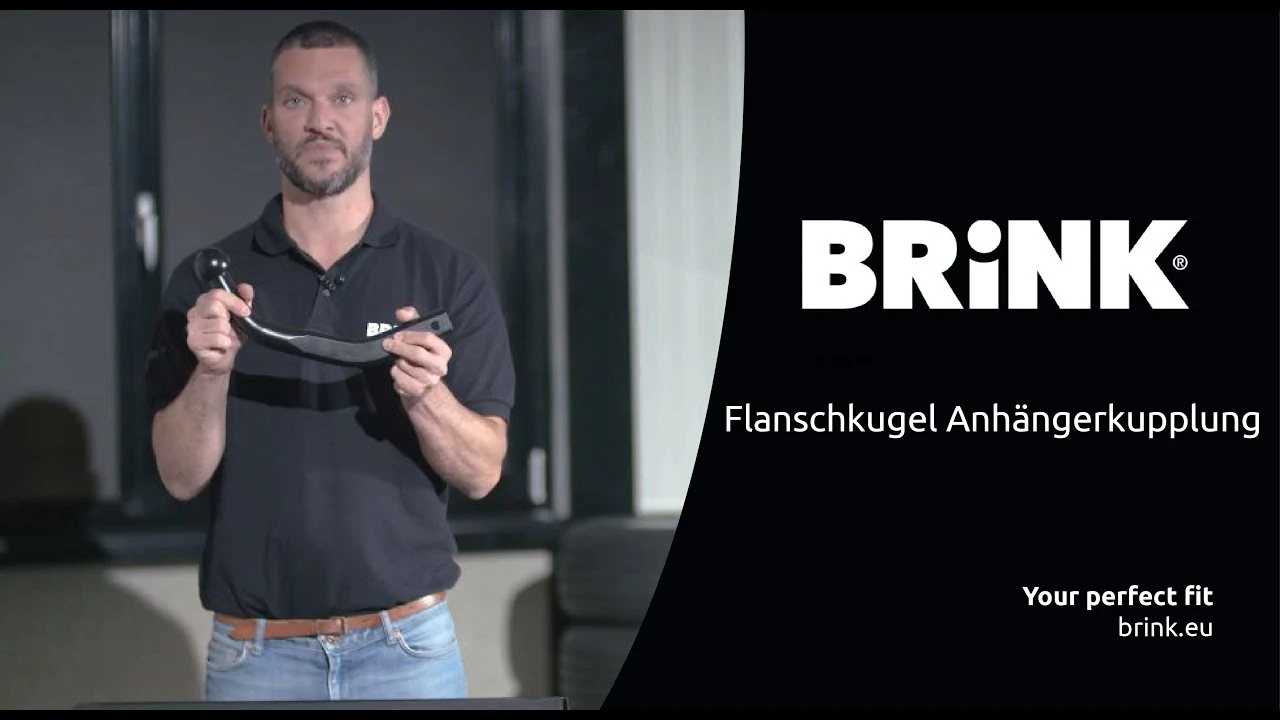 Anhängevorrichtung Flansch Typ (2)