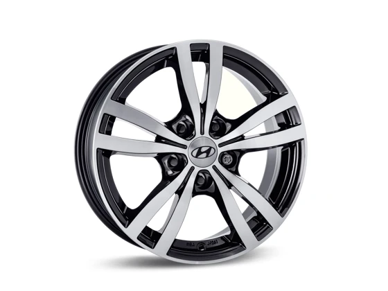 Leichtmetallfelge 16 Zoll (21)