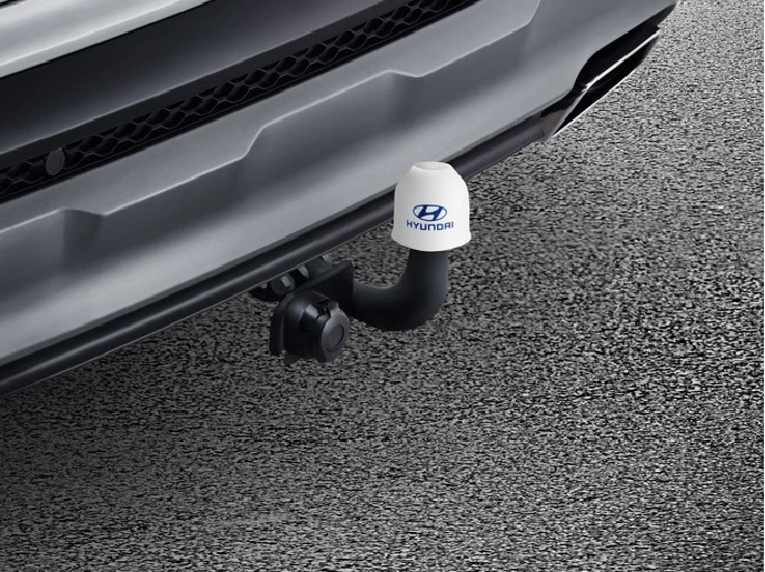 Anhängerkupplung, starr (8)