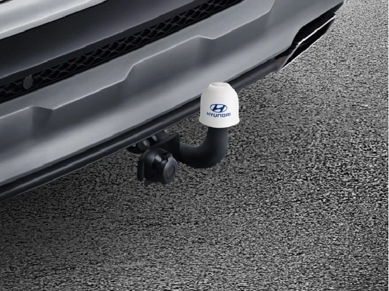 Anhängerkupplung, starr (8)