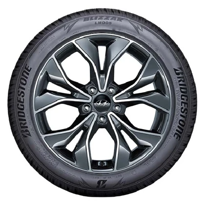 WR Alu 18, BR Blizzak LM005 225/40 R18 92V XL, RE (6)