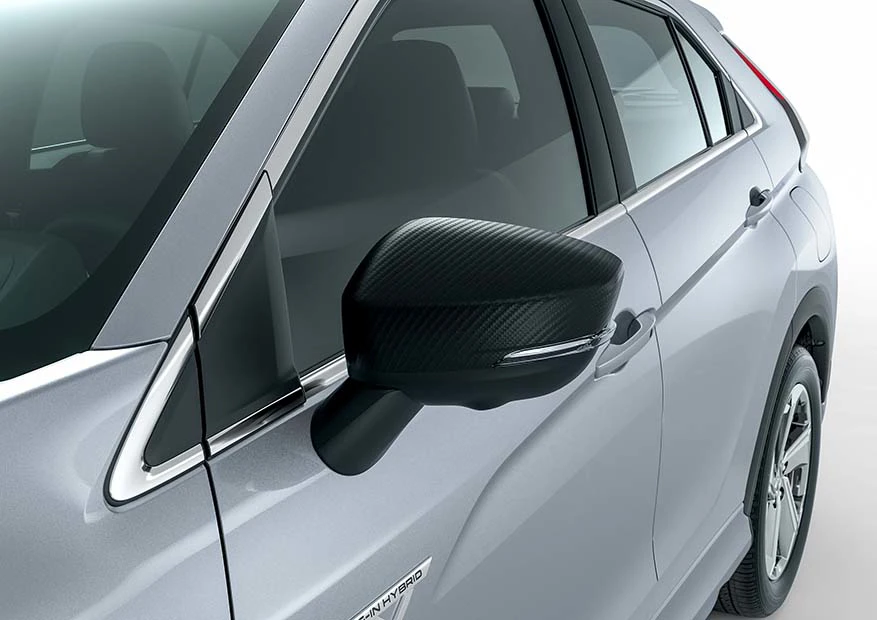 Außenspiegelabdeckungen (1)