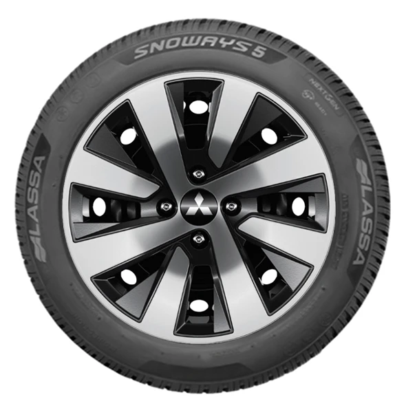 WR Stahl 15, LA Snoways 5 185/65 R15 88T, LI