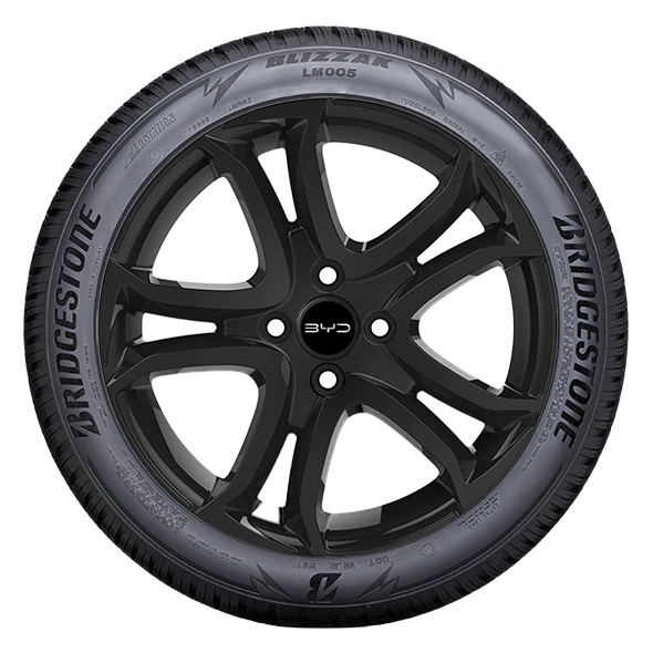 WR Alu 15, BR Blizzak LM005 175/65 R15 88T XL, LI