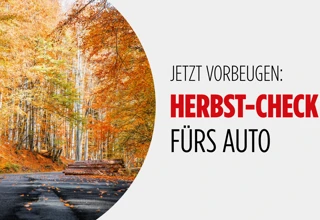 Herbst-Check fürs Auto: Licht, Reifen, Batterie und mehr im Fokus