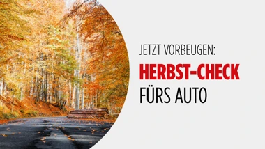 Herbst Check Blog Banner IV Bild