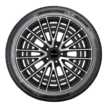 WR Alu 19 BR Bli 6 ENLITEN 255/45 R19 104W XL, LI