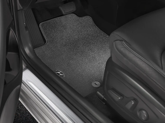 Velours-Matten-Satz (154)