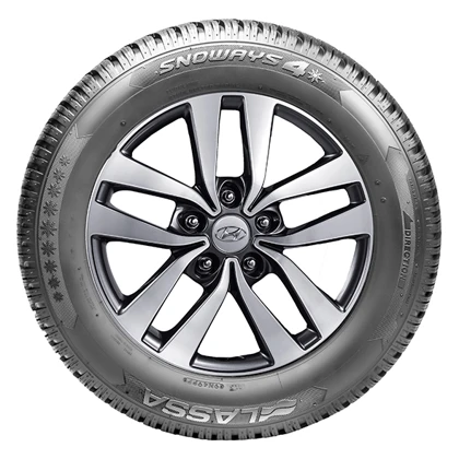 WR Alu 16, LA Snoways 4 205/55 R16 91H, RE