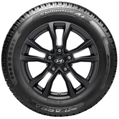 WR Alu 16, Lassa Snoways 4+ 205/55 R16 91H, RE (1)