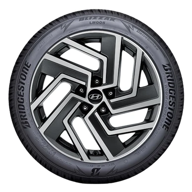 WR Alu 18, BR Blizzak LM005 215/55 R18 99V, LI (15)