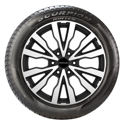 WR Alu PI Scorpion Winter 275/55 R20 117V XL,