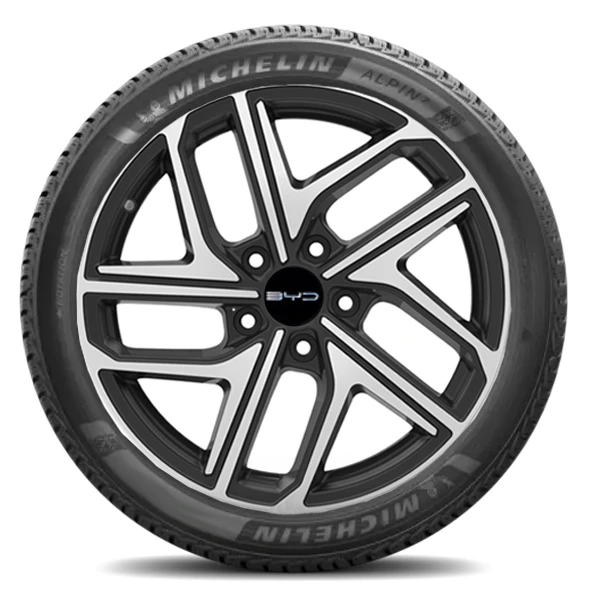 WR Alu 18,Michelin Alpin 7 215/50 R18 96V, RE (2)