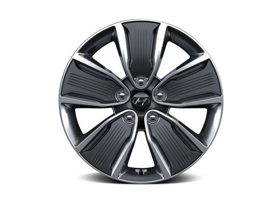 Leichtmetallfelge 17 Zoll (15)