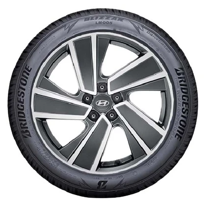 WR Alu 19, BR Blizzak LM005 235/55 R19 105V XL, LI