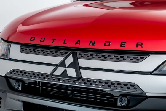 Emblem für Motorhaube (12)