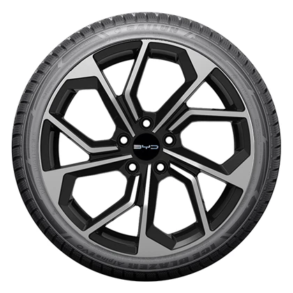 WR Alu 17,SL Ice Blazer Alp.Evo1 215/60R17 100V, LI