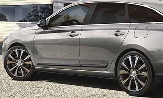 Seitenschutzleisten-Satz (49)