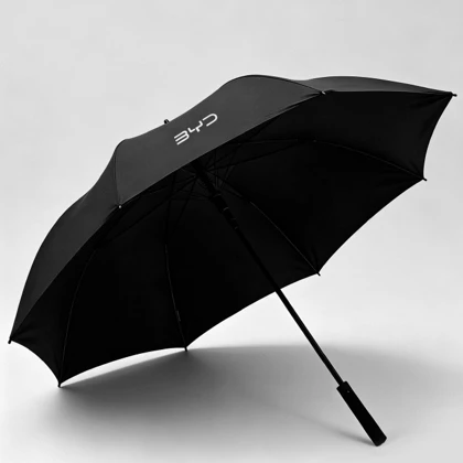 BYD-Automatikschirm mit Projektion