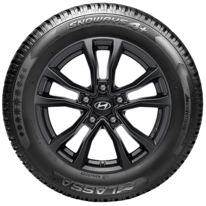 WR Alu 16, Lassa Snoways 4+ 205/55 R16 91H, RE (1)