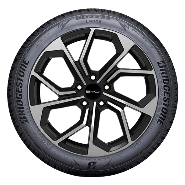 WR Alu 19, BR Blizzak LM005 235/45 R19 99V XL, LI (8)