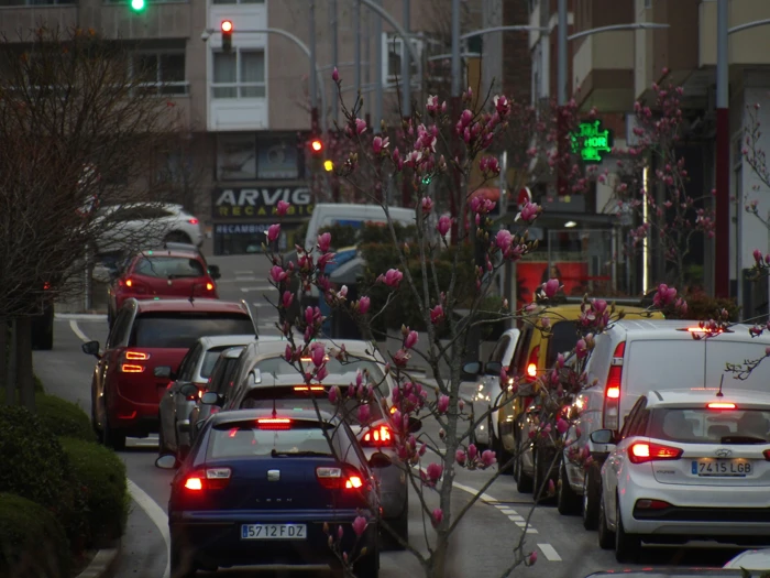 Straße Frühling