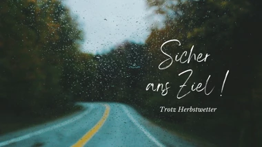 Regen, Laub & Nebel Blog Banner II Bild