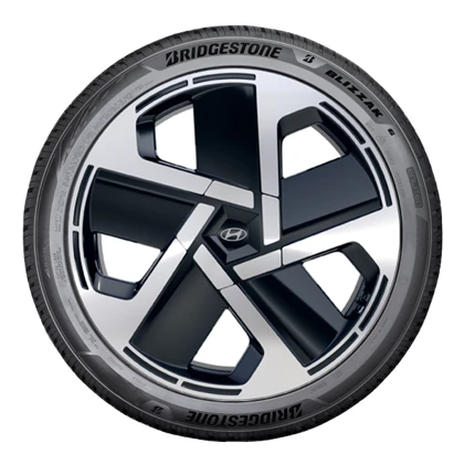 WR Alu 21, BR Bli 6 ENLITEN 285/45 R21 113W XL, RE