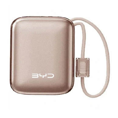 BYD-Powerbank, goldfarben (2)