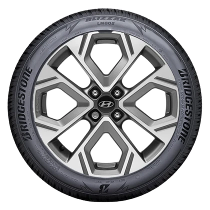 WR Alu Blizzak LM005 205/45 R17 88V XL, RE