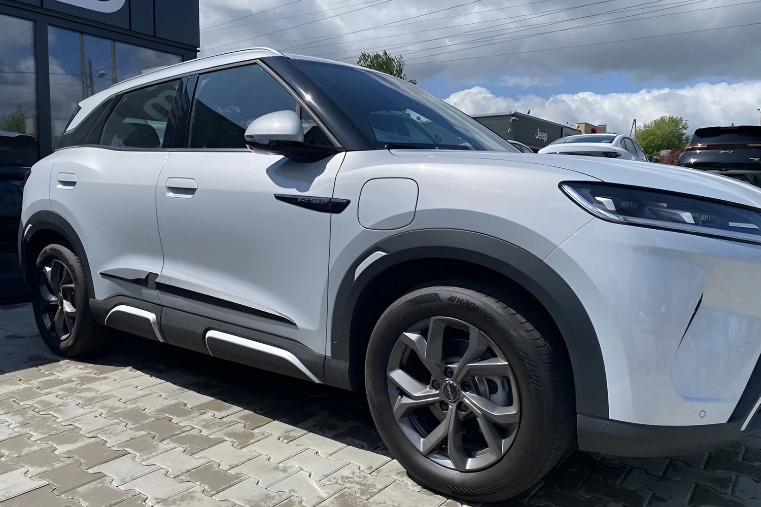 Seitenschutzleisten, Mattschwarz (3)