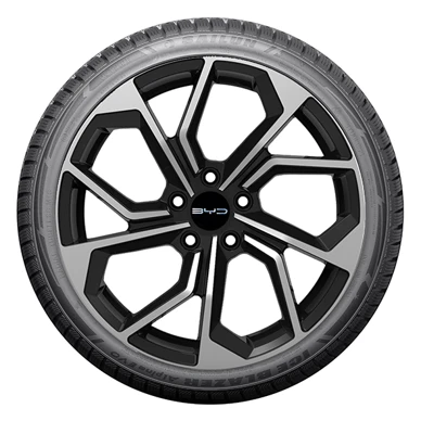 WR Alu 17,SL Ice Blazer Alp.Evo1 215/60R17 100V RE