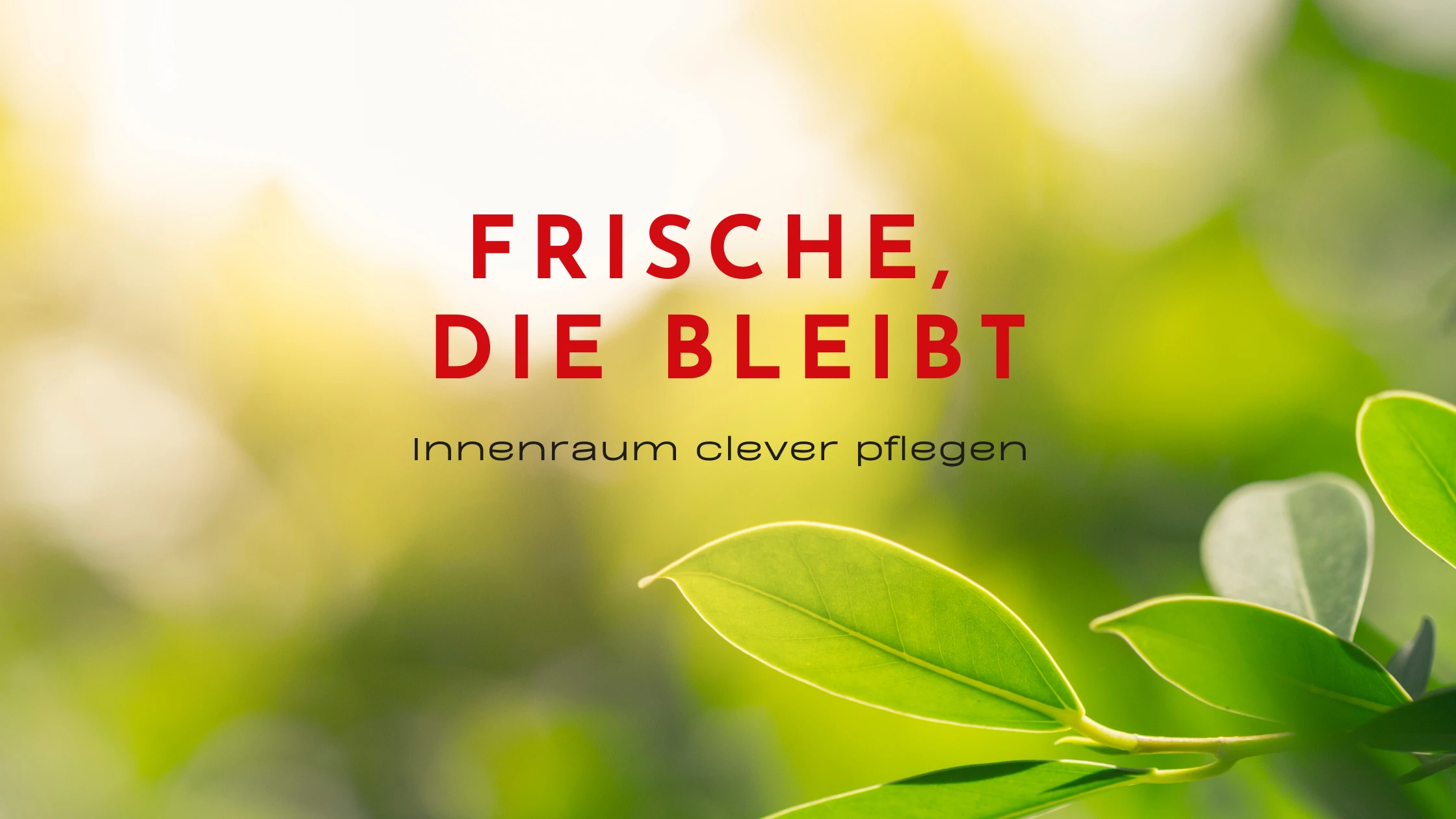 Schlechte Gerüche Blog Banner