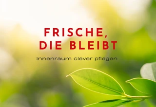 Die besten Geheimtipps gegen schlechte Gerüche im Auto Bild