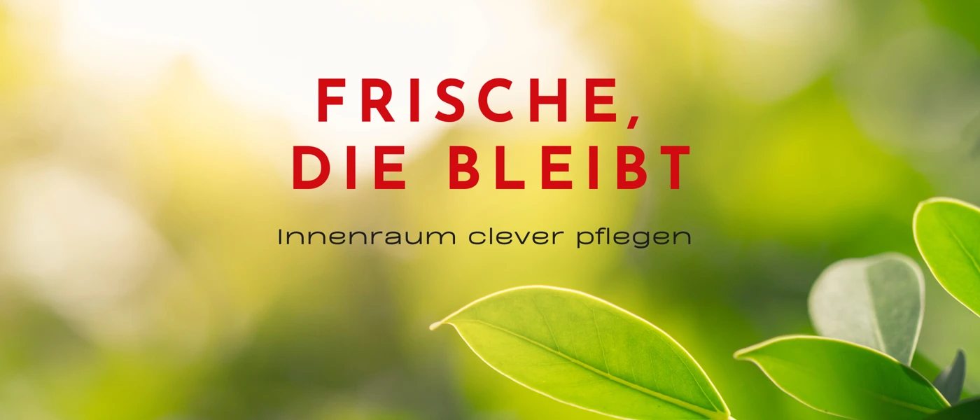 Schlechte Gerüche Blog Banner