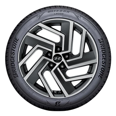 WR Alu 18, BR Blizzak LM005 215/55 R18 99V, RE (18)