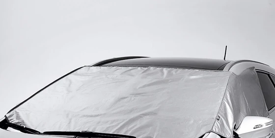 Eis- und Sonnenschutz (31)