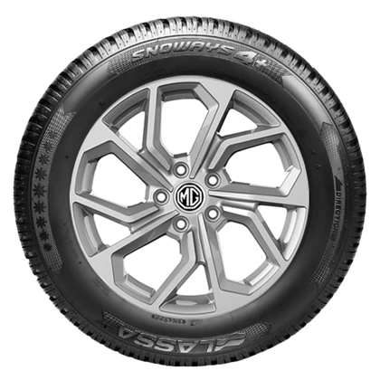 WR Alu 16, Lassa Snoways 4+ 205/60 R16 96H XL, RE