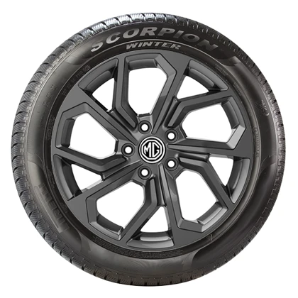 WR Alu 20, PI Scorpion Winter 245/50 R20 105H XL, RE