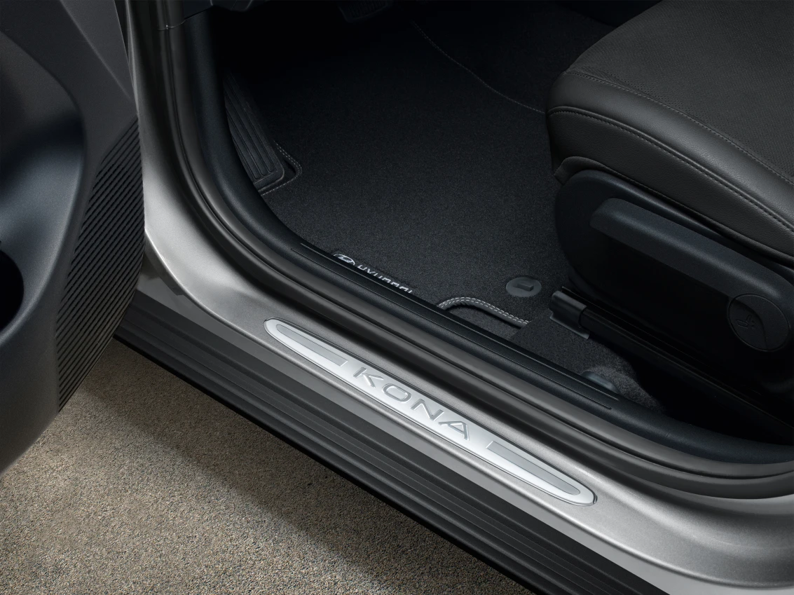 Einstiegsleisten-Satz, Edelstahl (3)