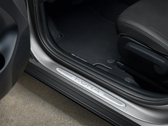 Einstiegsleisten-Satz, Edelstahl