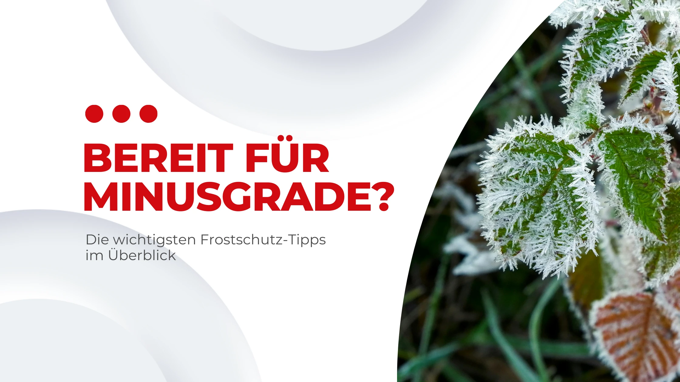 Frostschutz Für Ihr Auto Blog Banner II