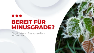 Frostschutz Für Ihr Auto Blog Banner II Bild