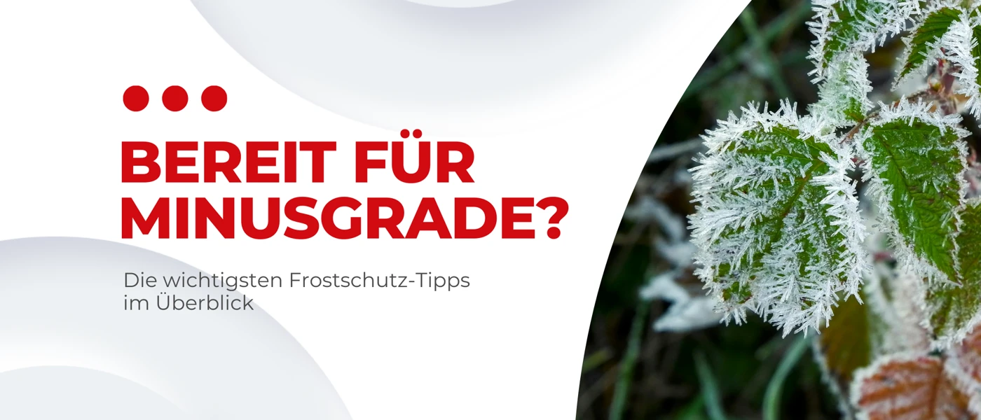 Frostschutz Für Ihr Auto Blog Banner II