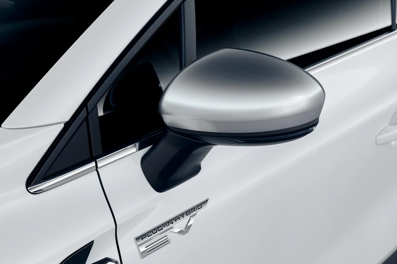 Außenspiegelabdeckung (25)