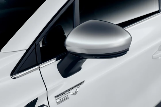 Außenspiegelabdeckung (25)