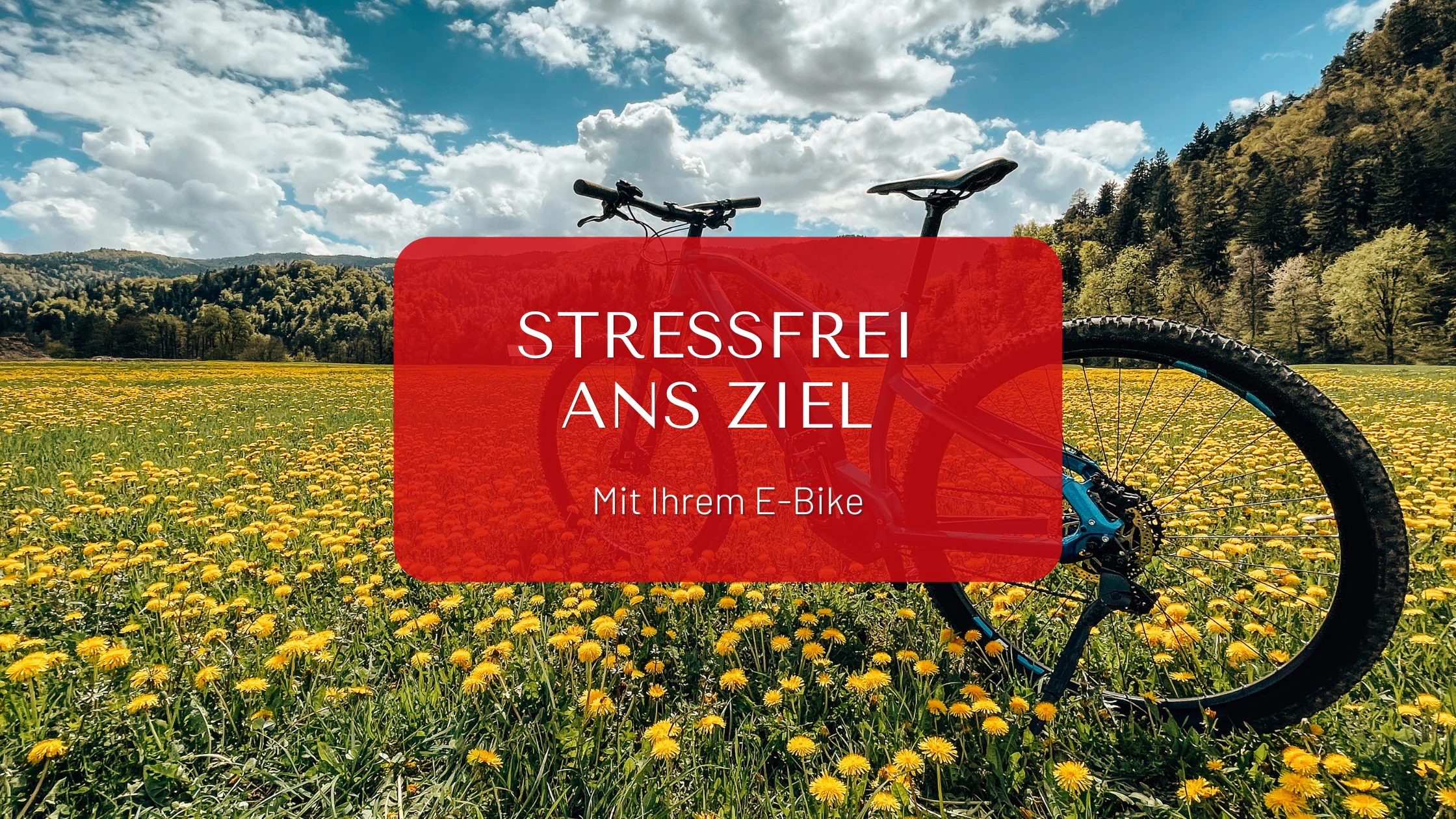 E Bike & Auto Blog Banner
