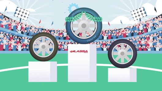 LASSA 5 Jahre Vollkasko-Schutz (121)