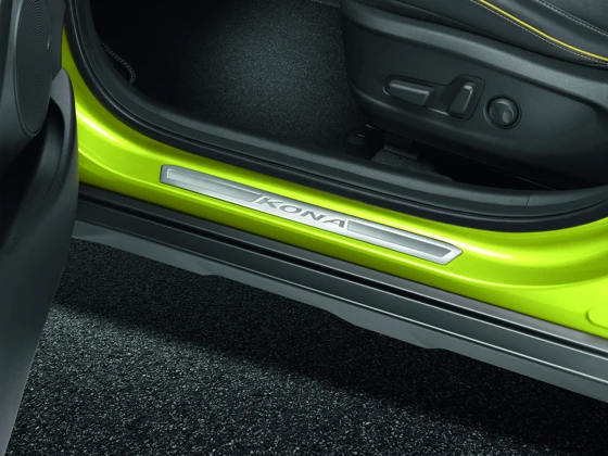 Einstiegsleisten-Satz (17)